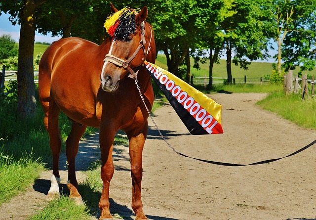 态并不断突 态并不断突
