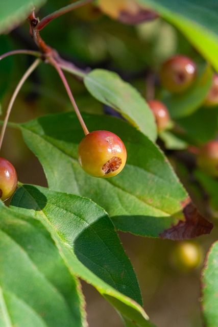 這筆交易可 這筆交易可