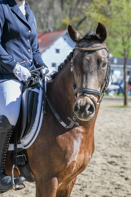 争力的队伍 争力的队伍