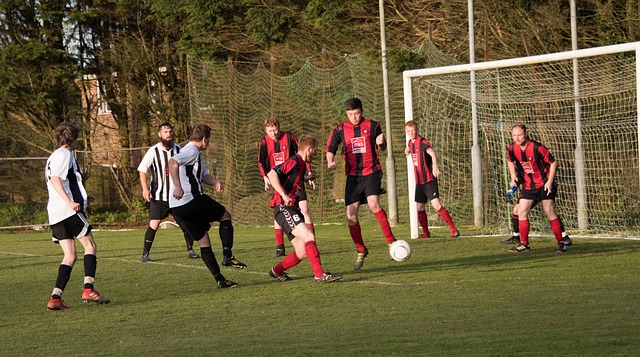 力书写篇章 力书写篇章