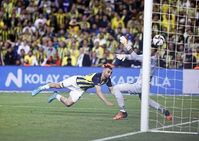 力克武汉队 力克武汉队